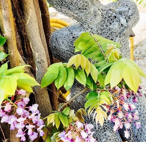 Jr Logos Dei Marmi 포르데데이마르미