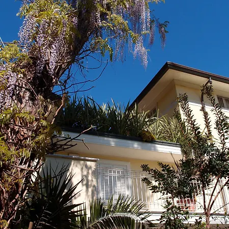 Jr Logos Dei Marmi Forte dei Marmi